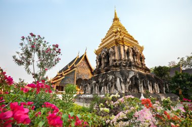 Chedi Chang Lom Wat Chiang adam, Chiang Mai, Tayland