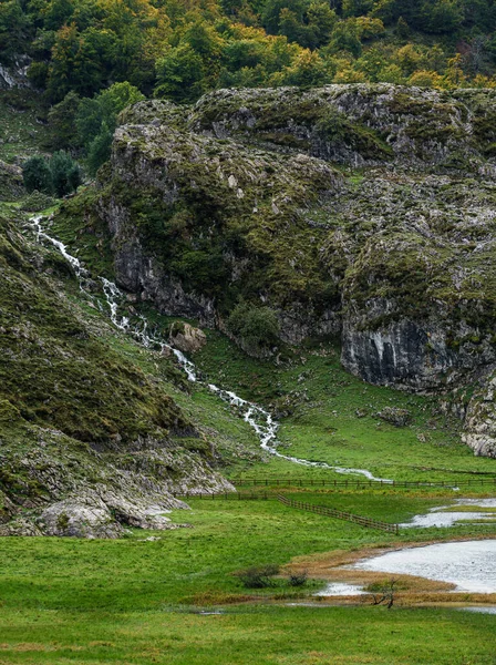 Rio Flui Para Cerca Lagos Covadonga — Fotografia de Stock