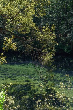 FRAGAS EUME Doğal Parkı, Sakin Nehir