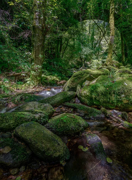 Fragas Eume Natural Park Bridge — Stock fotografie