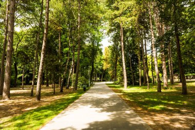Budapeşte 'deki Margaret Adası. Margaret Adası (Margitsziget), Tuna Nehri 'nin tam ortasında, Budapeşte şehir merkezinin kuzeyinde yer alır. Macaristan.