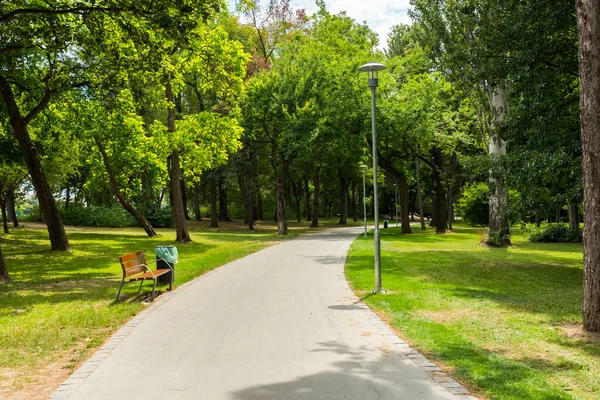 Νήσος Μάργκαρετ Στη Βουδαπέστη Margaret Island Margitsziget Βρίσκεται Στη Μέση — Φωτογραφία Αρχείου