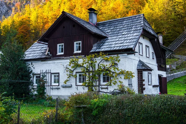 Традиционный Австрийский Деревенский Дом Hallstatt Зальцбург — стоковое фото