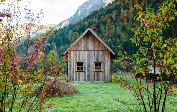 Maison Village Autrichienne Traditionnelle Bois Hallstatt Salzbourg — Photo