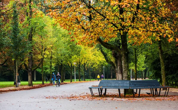 Амстердам Нидерланды Сентября 2017 Vondelpark Амстердаме Федельпарк Крупнейший Городской Парк — стоковое фото