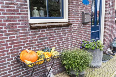 Kapının önünde Cadılar Bayramı balkabağı.