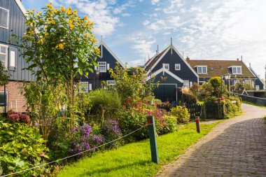 Marken. Marken Adası Waterland, Hollanda 'daki güzel tipik balıkçı köyü evleri.