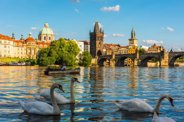 Praha Czechia Června 2016 Karlův Most Řeka Vltava Praze Česká — Stock fotografie