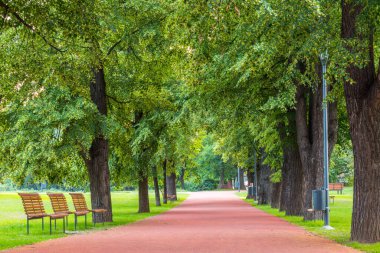 Prag, Çek Cumhuriyeti 'ne park et. Güzel doğa manzarası.