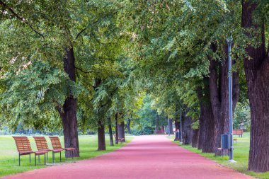 Prag, Çek Cumhuriyeti 'ne park et. Güzel doğa manzarası.