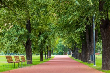 Prag, Çek Cumhuriyeti 'ne park et. Güzel doğa manzarası.