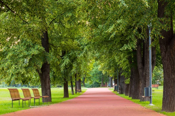 Parco Praga Repubblica Ceca Bella Vista Sulla Natura — Foto Stock