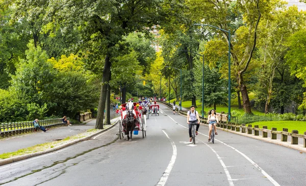 New York Usa September 2018 Central Park Central Park Een — Stockfoto