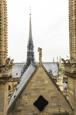 Paris 'teki Notre Dame de Paris Katedrali.