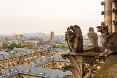 PARIS, FRANCE - 8 Mayıs 2017: Paris manzaralı Notre Dame de Paris Katedrali 'nde Gargoyle. Fransa.