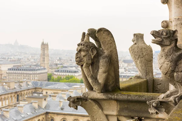 Gárgola Catedral Notre Dame París Con Vistas París Francia — Foto de Stock