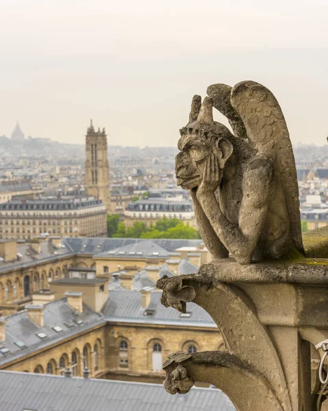 Paris France Mai 2017 Gargoyle Sur Cathédrale Notre Dame Paris — Photo