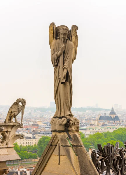 Paris França Maio 2017 Gárgula Catedral Notre Dame Paris Com — Fotografia de Stock