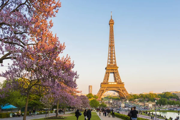 Paris Francja Maj 2017 Wieża Eiffla Kwiatami Magnolii Widok Wiosny — Zdjęcie stockowe