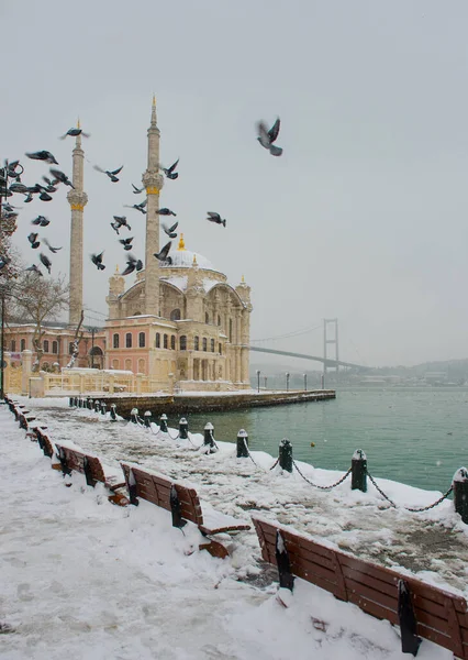 Día Nevado Ortakoy Estambul Turquía Vista Mezquita Ortakoy Puente Del — Foto de Stock