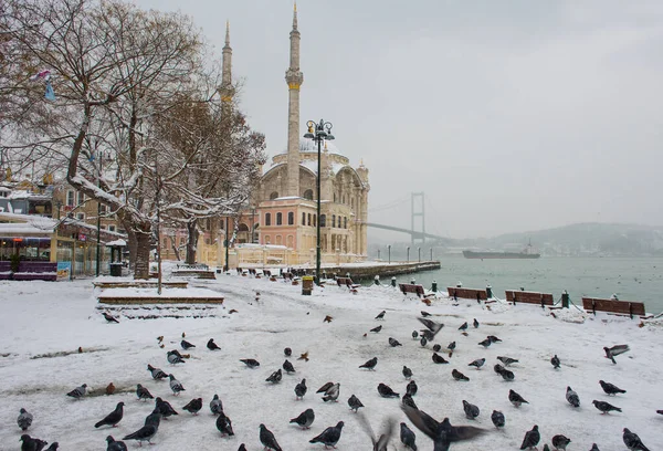 Istanbul Turkey January 2017 Snowy Day Ortakoy Istanbul Turkey View — Stock Photo, Image