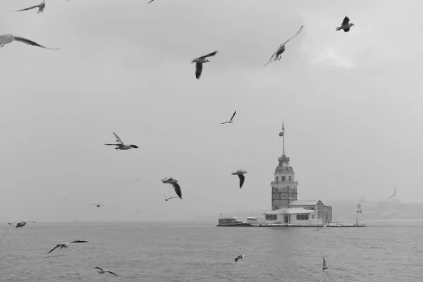 Sněžný Den Uskudaru Pohled Panenskou Věž Uskudaru Istanbul Turecko — Stock fotografie