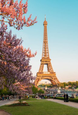PARIS, FRANCE - 8 Mayıs 2017: Manolya çiçekli Eyfel Kulesi. Paris, Fransa 'da bahar manzarası.