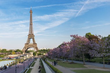 PARIS, FRANCE - 8 Mayıs 2017: Manolya çiçekli Eyfel Kulesi. Paris, Fransa 'da bahar manzarası.