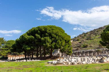 İzmir, Türkiye - 27 Ekim 2025: Efes Arkeoloji Bölgesi. Selcuk 'taki Efes Antik Kenti, İzmir, Türkiye.