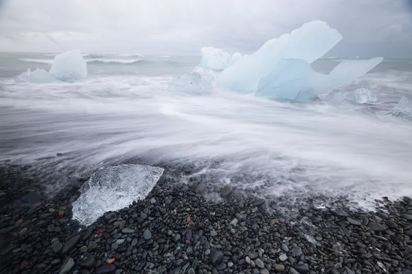 流氷自然野生動物風景 — ストック写真