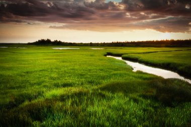 Dağlar doğa yaban hayatı manzarada hiking