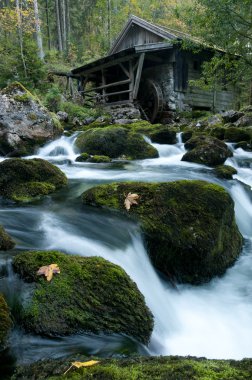 Mesleki terapi yakın çekim ve farklı egzersizler