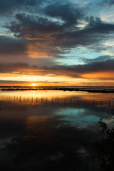 Sunset Albarella in Italy — Stock Photo, Image