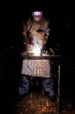 Zebra doğa vahşi arazi