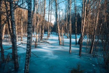 Nehir kıyısında kış manzarası