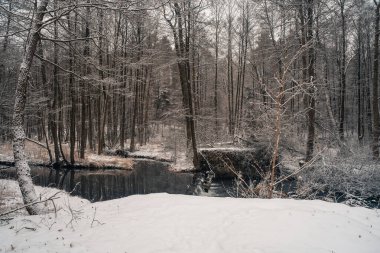 Beyaz Rusya 'da kış manzarası