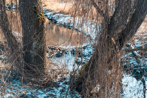 Winterlandschaft Fluss — Stockfoto