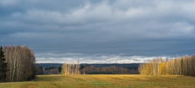 Belarus 'taki sonbahar tarlası manzarası