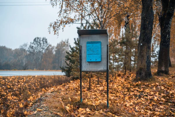 Strada Autunno Qualche Parte Belarus — Foto Stock