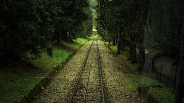 Zakopane, tren, yeşil