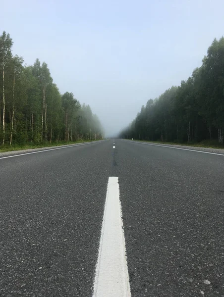Road Leaving Predawn Fog Horizon — Stock Photo, Image