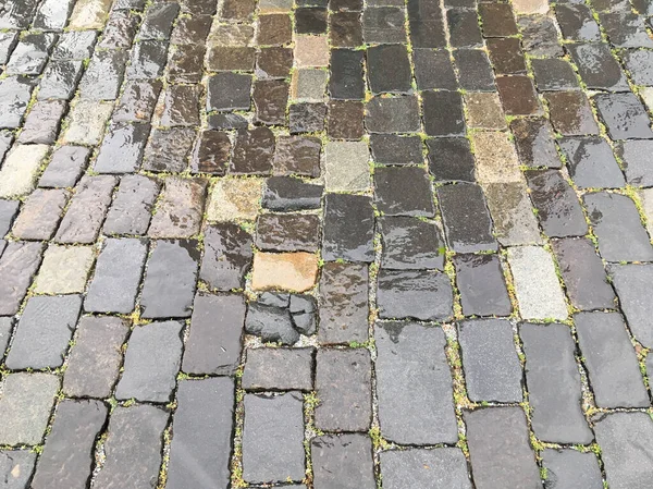 最後の雨の後の花崗岩舗装の光沢のある石畳 — ストック写真