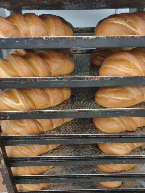 Fırında taze fırınlanmış somunlar.