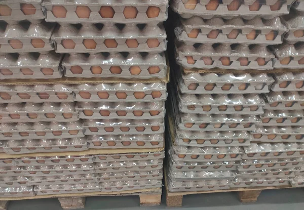 Desítky Balíčků Stovkami Kuřecích Vajec Paletách Supermarketu — Stock fotografie