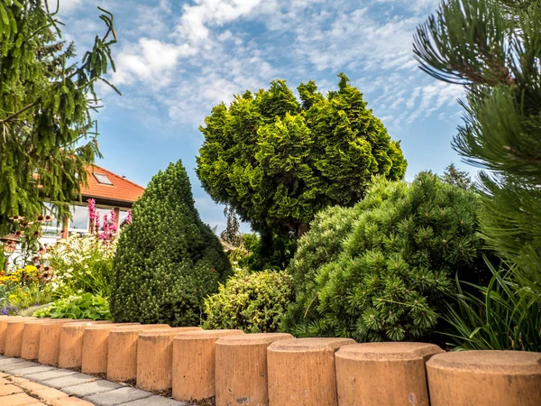 Giardino con gruppo di piante di conifere — Foto Stock