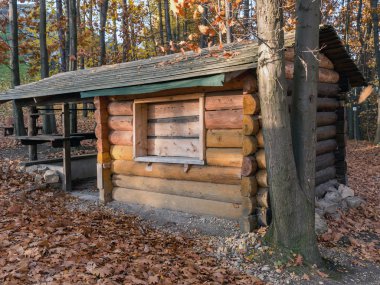 Ormanın içinde ahşap lodge