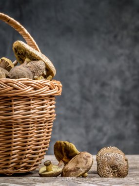 mantar ile hasır sepet