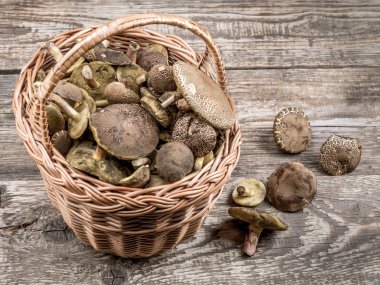 mantar ile hasır sepet