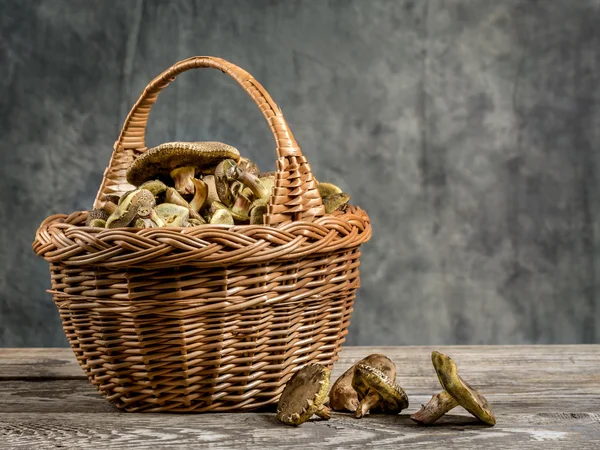 Rieten mand met champignons — Stockfoto