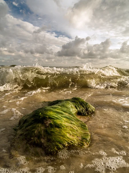 Deniz dalgaları tarafından yıkanmış yosun kaplı kaya — Stok fotoğraf